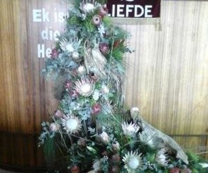 Die gelykenis van die muntstukke